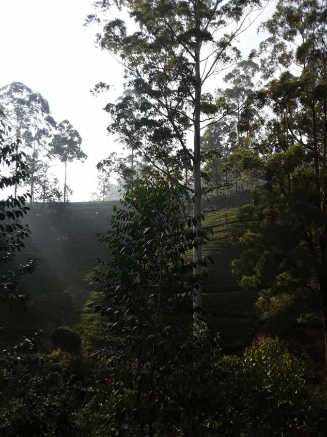 Lily Adam'S Peak Acomodação com café da manhã Nallathanniya Exterior foto